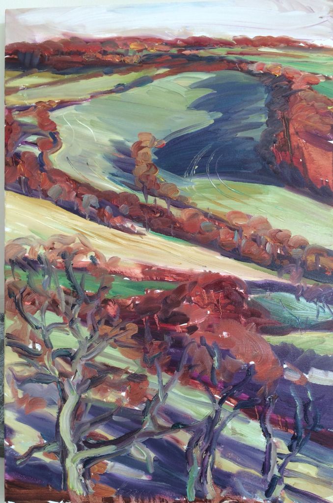 Bright Winter Morning in the Moss Valley