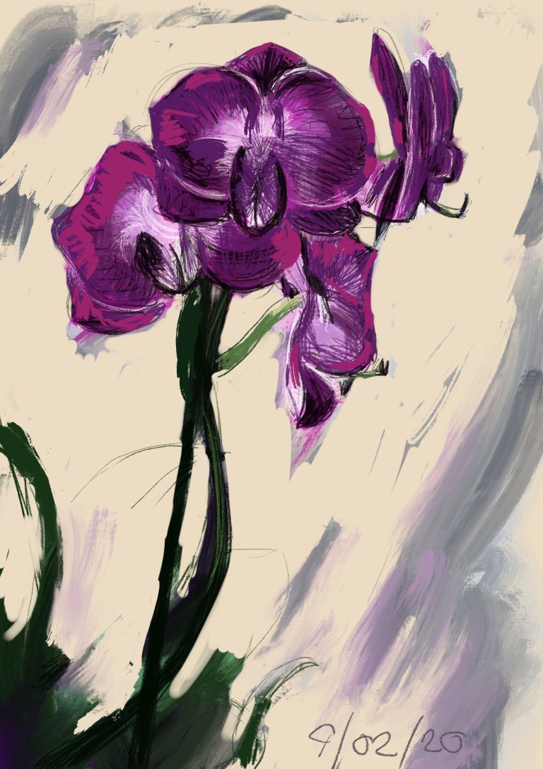 orchid