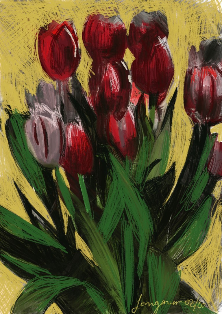 tulips in golden light