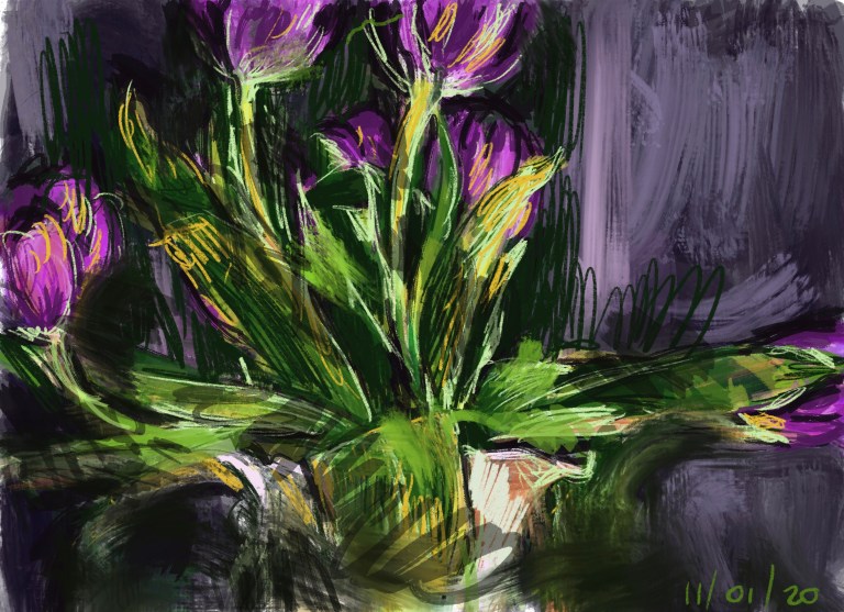 tulips2a