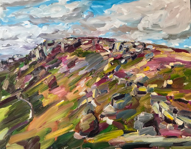 heather in bloom on curbar edge