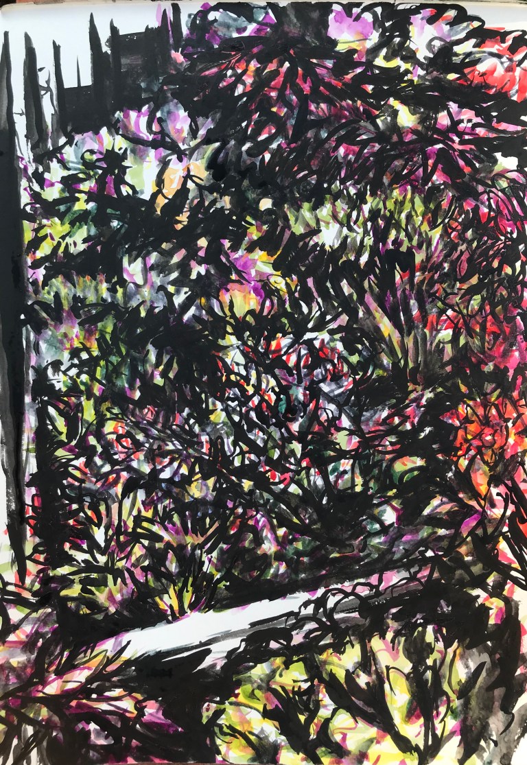 plants in the raised bed