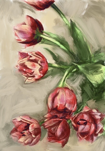 tulips3